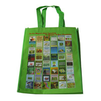 鹰潭LB11覆膜无纺布广告袋