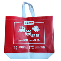 鹰潭LB37培训班广告袋